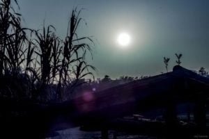 La Gloriette-11 La Gloriette 11