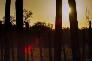 La Gloriette-12 La Gloriette 12