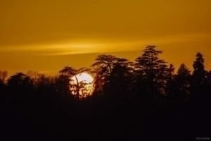 La Gloriette-13 La Gloriette 13