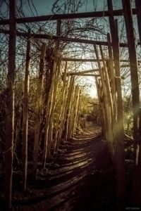 La Gloriette-19 La Gloriette 19