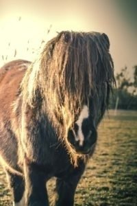 La Gloriette-2 La Gloriette 2