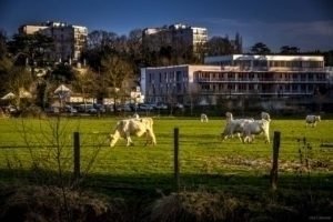 La Gloriette-24 La Gloriette 24