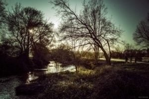 La Gloriette-25 La Gloriette 25