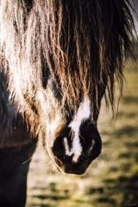 La Gloriette-3 La Gloriette 3