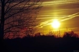 La Gloriette-37 La Gloriette 37