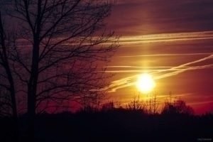 La Gloriette-38 La Gloriette 38