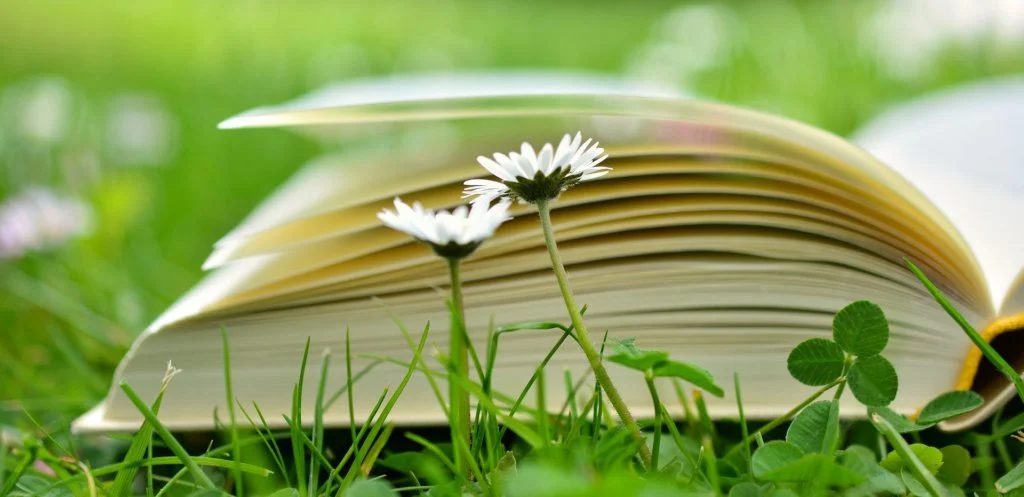 Avis de lecture