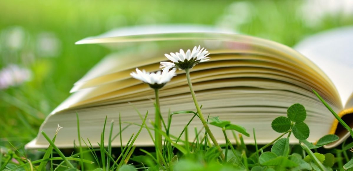 Avis de lecture