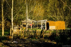 Gloriette-1 Parc de La Gloriette Tours