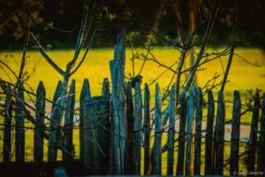 Gloriette-17 Parc de La Gloriette Tours