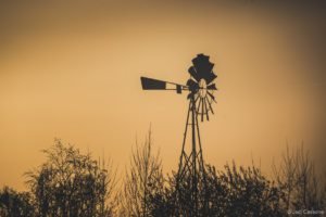 Gloriette-21 Parc de La Gloriette Tours