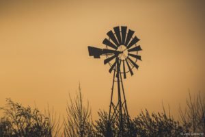 Gloriette-22 Parc de La Gloriette Tours