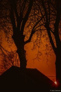 Gloriette-25 Parc de La Gloriette Tours