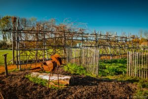 Gloriette-8 Parc de La Gloriette Tours