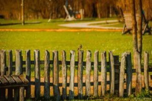 Gloriette-9 Parc de La Gloriette Tours