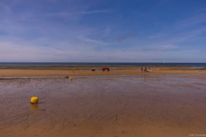 Jedj Cassone St Aubin 2020 10