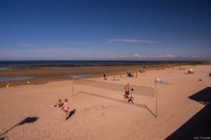 Jedj Cassone St Aubin 2020 11