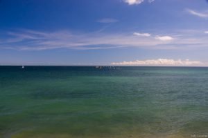 Jedj Cassone St Aubin 2020 13