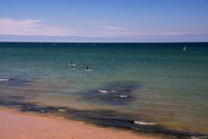 Jedj Cassone St Aubin 2020 22