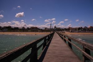 Jedj Cassone St Aubin 2020 24