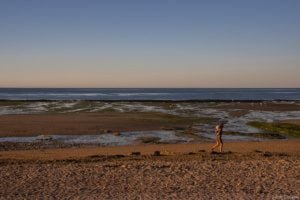 Jedj Cassone St Aubin 2020 29