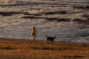 Jedj Cassone St Aubin 2020 34