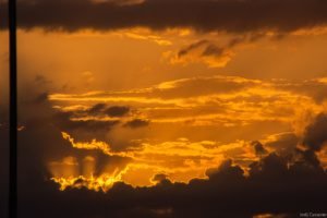 Jedj Cassone St Aubin 2020 37