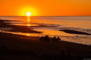 Jedj Cassone St Aubin 2020 39