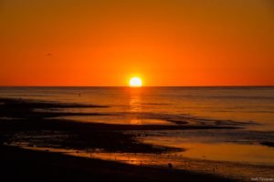 Jedj Cassone St Aubin 2020 40