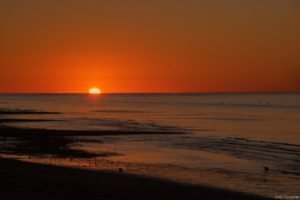 Jedj Cassone St Aubin 2020 41