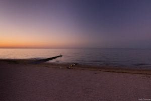 Jedj Cassone St Aubin 2020 42