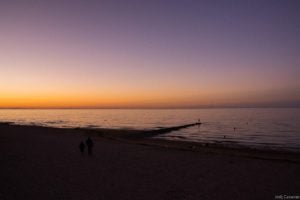 Jedj Cassone St Aubin 2020 43