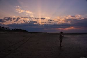 Jedj Cassone St Aubin 2020 47