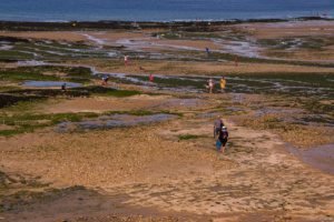 Jedj Cassone St Aubin 2020 7