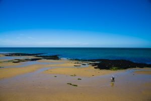 été-22-St-Aubin-3830 ete 22 St Aubin 3830