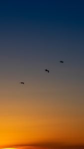 été-22-St-Aubin-3864 ete 22 St Aubin 3864