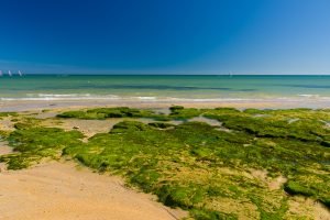 été-22-St-Aubin-3888 ete 22 St Aubin 3888