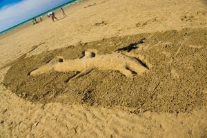 été-22-St-Aubin-3973 ete 22 St Aubin 3973