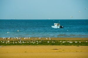 été-22-St-Aubin-4028 ete 22 St Aubin 4028