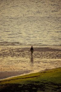 été-22-St-Aubin-4235 ete 22 St Aubin 4235