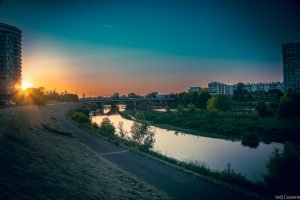 Rives du Cher mai 2023-4275 Rive du Cher mai 2023 4275