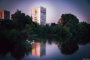 Rive du Cher mai 2023-4277 Rive du Cher mai 2023 4277