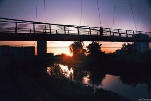 Rive du Cher mai 2023-4280 Rive du Cher mai 2023 4280