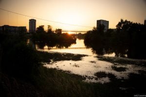 Rive du Cher mai 2023-4294 Rive du Cher mai 2023 4294