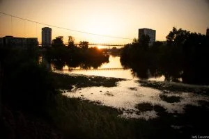 Rive du Cher mai 2023-4294 Rive du Cher mai 2023 4294