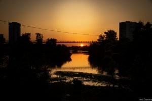 Rive du Cher mai 2023-4304 Rive du Cher mai 2023 4304