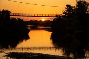 Rive du Cher mai 2023-4305 Rive du Cher mai 2023 4305