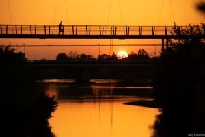 Rive du Cher mai 2023-4309 Rive du Cher mai 2023 4309