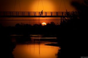 Rive du Cher mai 2023-4310 Rive du Cher mai 2023 4310