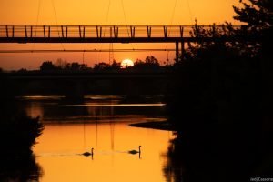 Rive du Cher mai 2023-4312 Rive du Cher mai 2023 4312